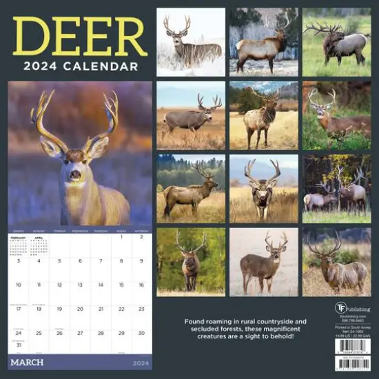 TF Publishing 2024 Deer Wall Calendar {3}