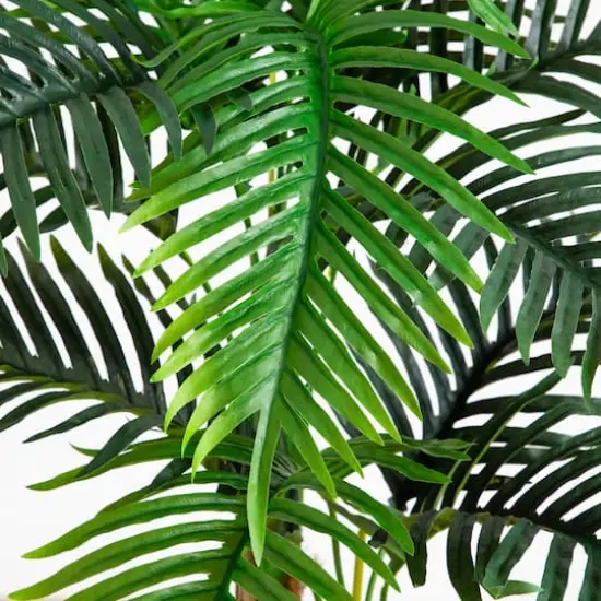 4ft. UV Resistant Artificial Double Robellini Palm Tree (Indoor/Outdoor) {5}