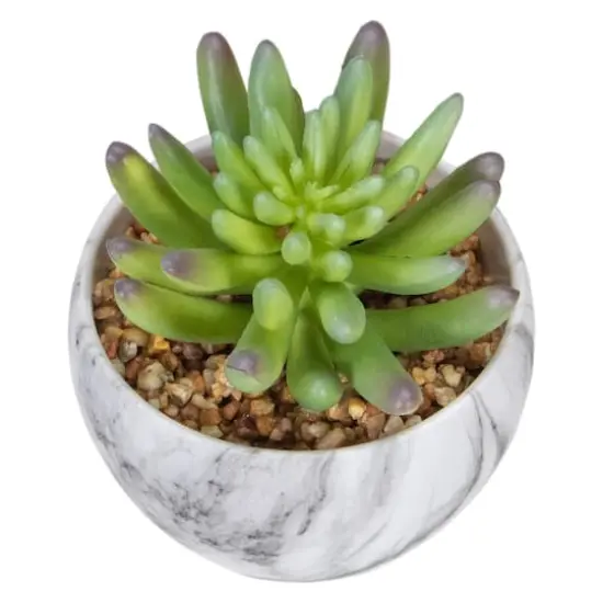 4.25" Green Succulent in Faux Marble Pot {6}