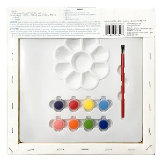 Assorted Canvas Paint Set by Creatology&trade; {15}
