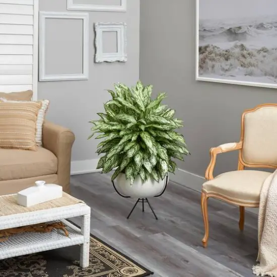 4ft. Silver Queen Plant in White Planter with Metal Stand {5}