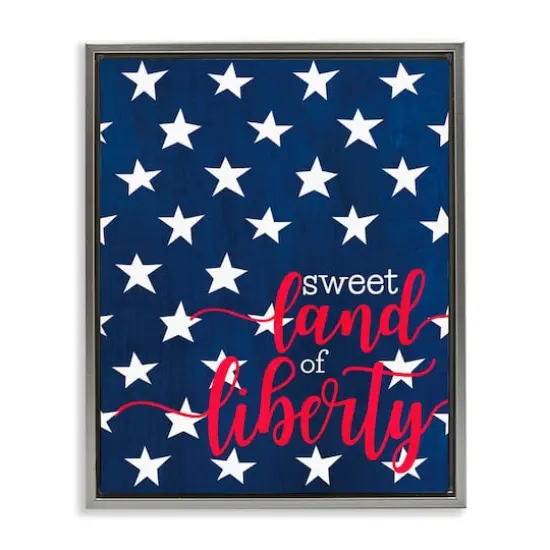 Stupell Industries Sweet Land Of Liberty Americana Floater Framed Art Gray {1}