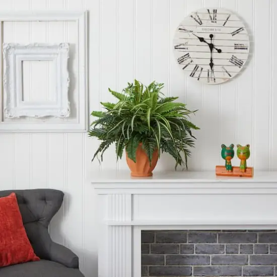 23" Mixed Leaf & Fern Plant in Terra Cotta Planter {7}