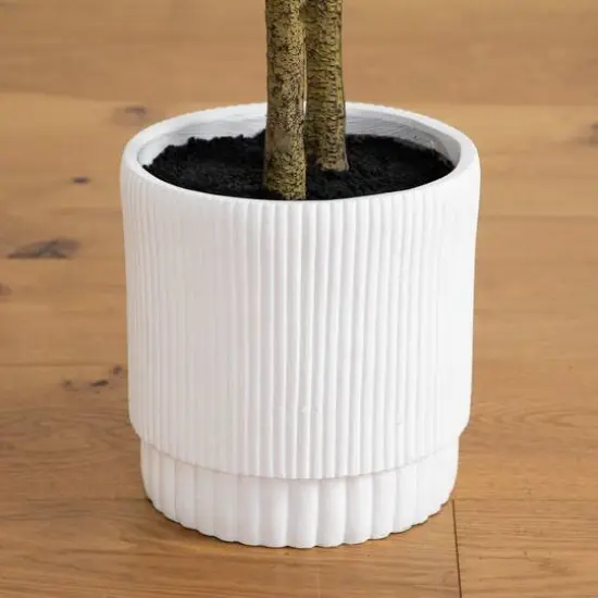 5ft. Enkianthus Tree in White Decorative Planter {10}