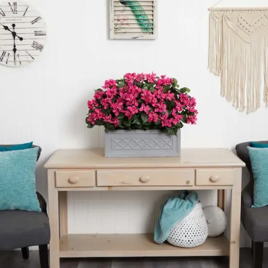 2.5ft. Pink Bougainvillea in Stone Planter {4}