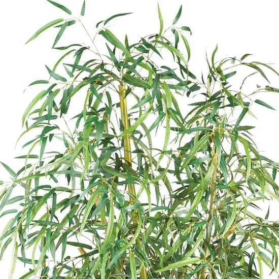 7ft. Potted Curved Slim Bamboo Silk Tree {3}