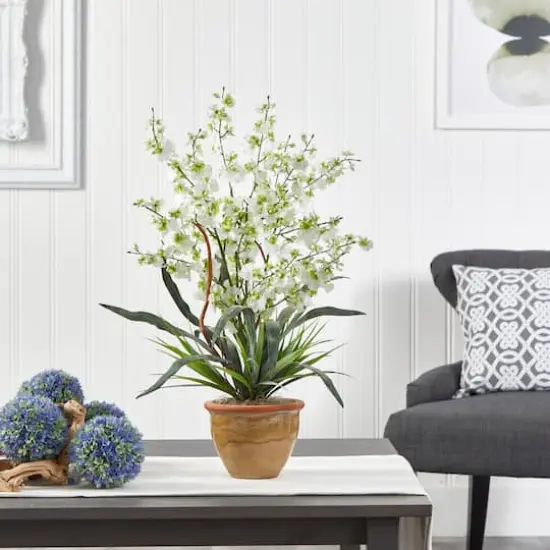 2ft. Green Dancing Lady Orchid Arrangement in Ceramic Vase {5}