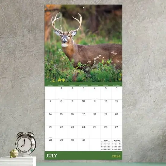 TF Publishing 2024 Deer Wall Calendar {5}