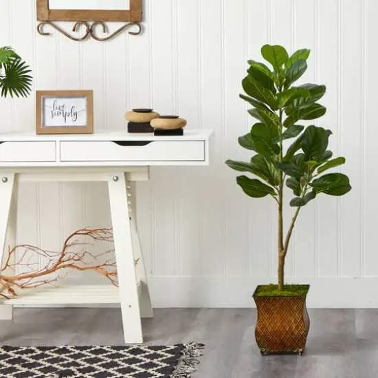 4ft. Fiddle Leaf Fig Tree in Decorative Metal Planter {3}