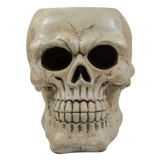 9" Ivory & Black Halloween Skull Tabletop D&eacute;cor {4}