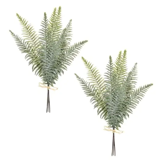 20.5" Fern Foliage Bundles, 2ct. {1}