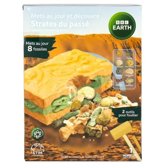 BBC Earth Excavate & Discover Layers of the Past {6}