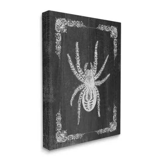 Stupell Industries Black & White Spider Canvas Wall Art {4}