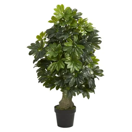3ft. Potted Umbrella Tree {1}