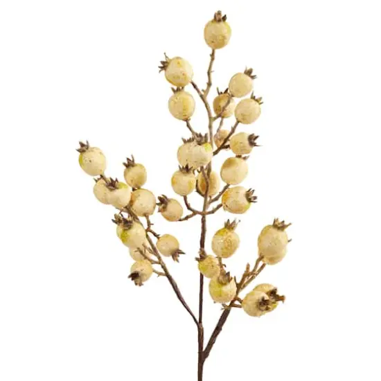 Pomegranate Bud Spray, 6ct. {3}