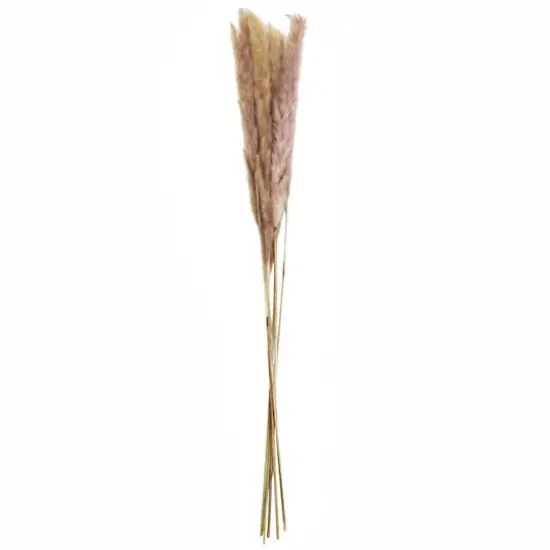Mini Natural Brown Pampas Bunch by Ashland&reg; {1}