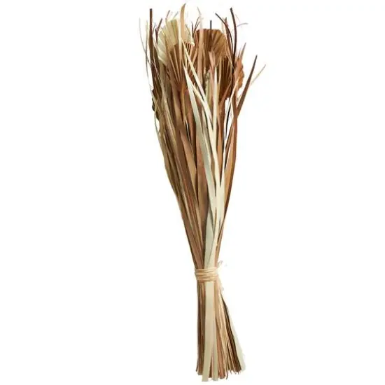 Beige & Tan Dried Grass & Fan Palm Bundle {5}