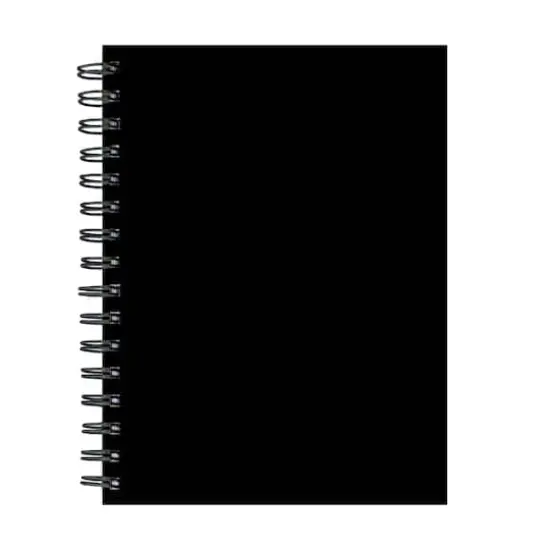 TF Publishing Business Black Spiral Lined Journal {1}