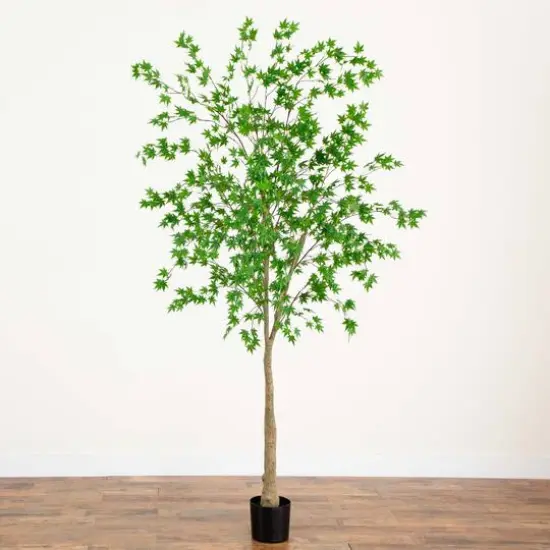 8ft. Potted Maple Tree {7}