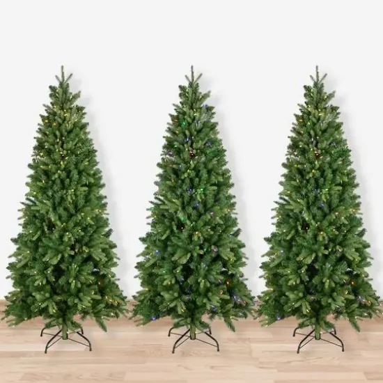 6.5ft. Pre-Lit Real Touch&trade;️ Washington Frasier Fir Christmas Tree, Dual Color LED Lights {3}