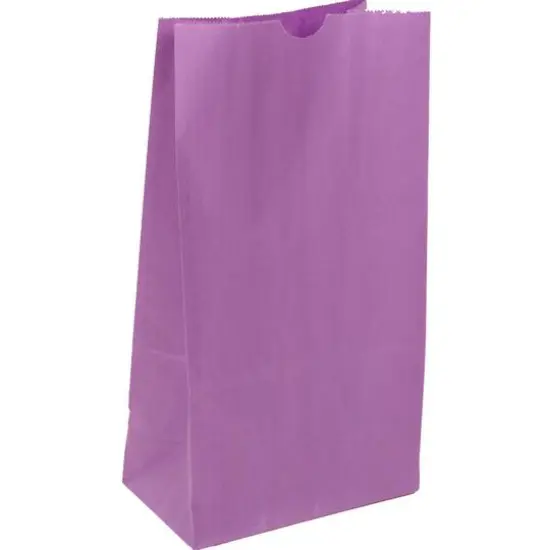 JAM Paper Purple Medium Lunch Bags, 500ct. {1}
