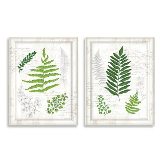 Stupell Industries Antique Fern Study with Script Forest Greenery Wall Plaque Set {1}