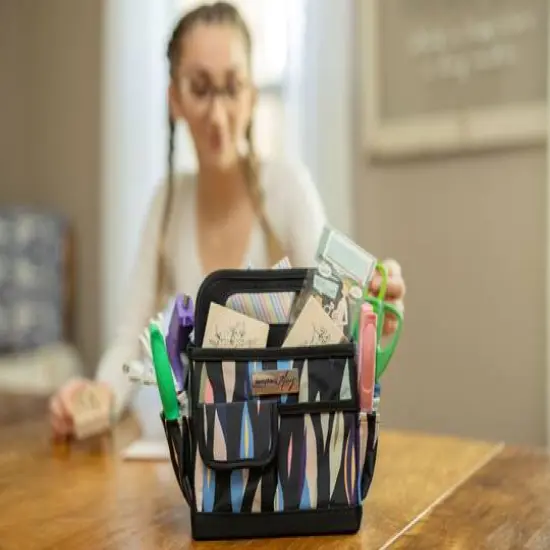 Everything Mary Abstract Print Collapsible Craft Caddy {12}