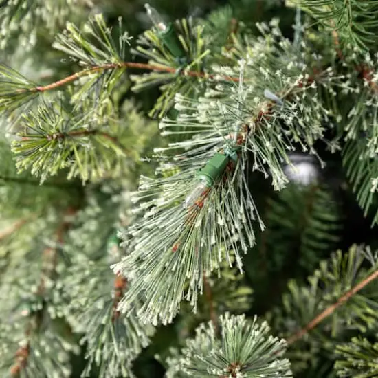 9ft. Pre-Lit Jackson Fir Artificial Christmas Tree, Warm White LED Lights by Ashland&reg; {5}