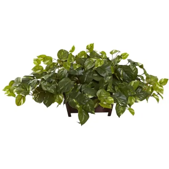 16" Pothos In Rectangle Decorative Planter {1}