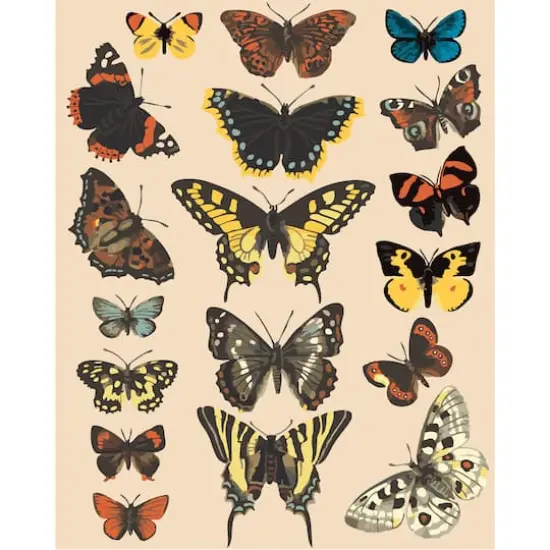 Butterflies Paint-by-Number Kit by Artist's Loft&reg; {1}