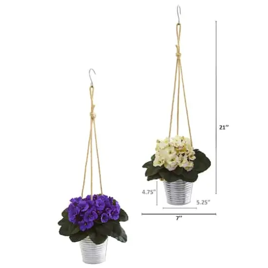 21" African Violet Plants in Hanging Buckets Set {3}