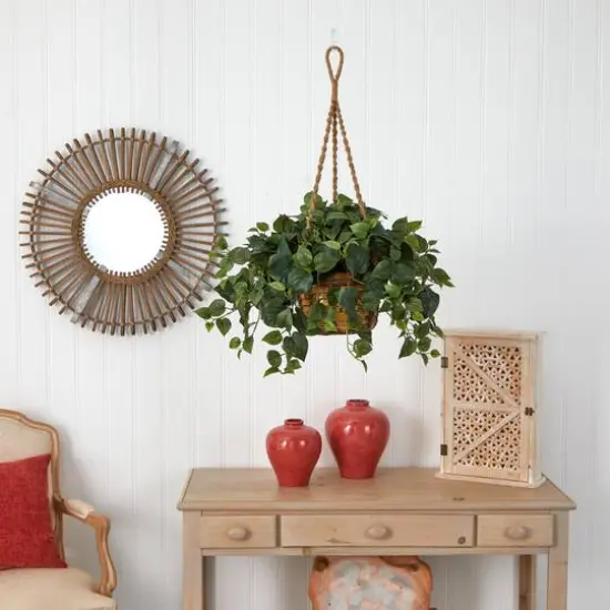 24" Philo in Hanging Basket {6}