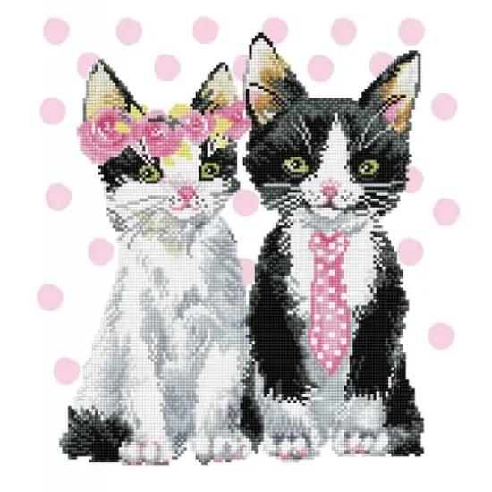 Diamond Dotz&reg; Intermediate Mr. & Mrs. Pink Diamond Painting Kit {1}