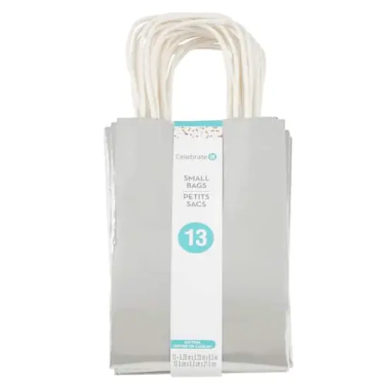 Small Silver Gift Bag Value Pack by Celebrate It&trade; {4}