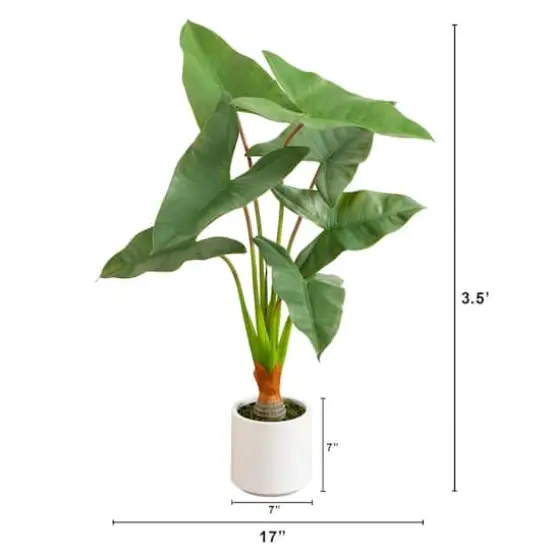 3.5ft. Arrowhead Philodendron in White Decorative Planter {5}