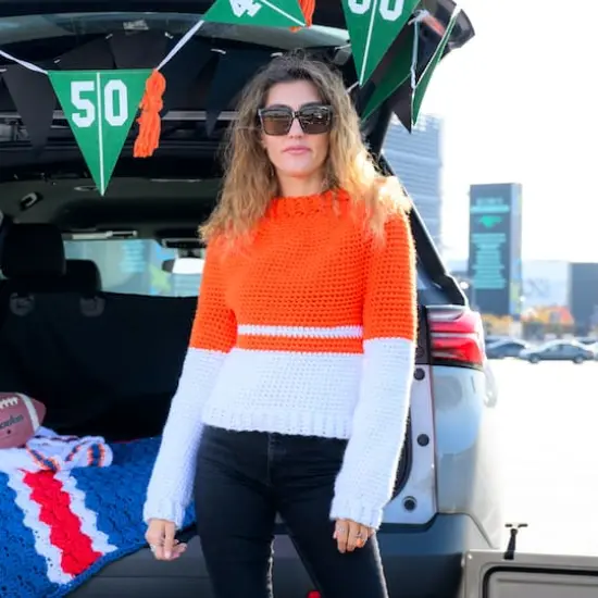 3 Pack Lion Brand&reg; Hometown Variegates Yarn Aspen Tweed {4}