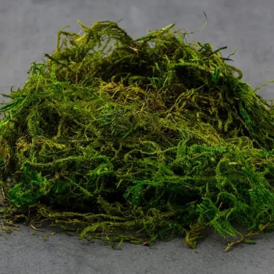 SuperMoss&reg; Preserved Moss {6}