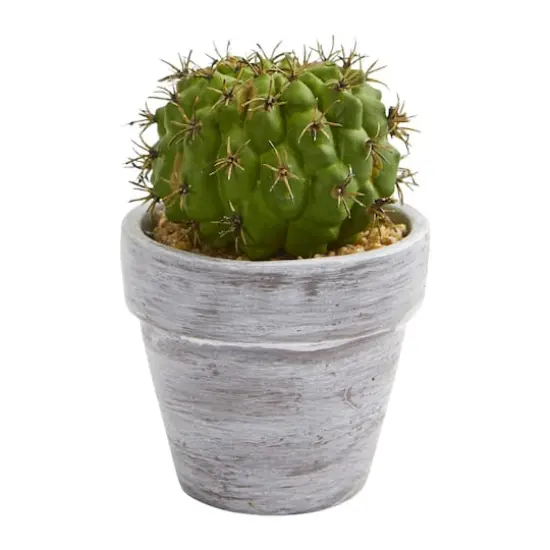 8" Assorted Potted Cactus Plant, 3ct. {4}