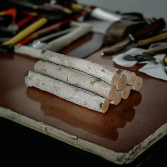 Wilson&reg; Enterprises 23" to 24" White Birch Log Bundle {1}