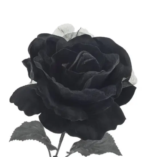 17.5" Black Rose Bush by Ashland&reg; {4}