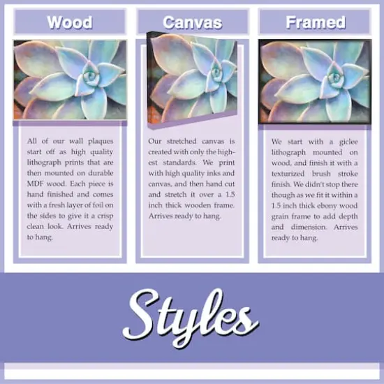 Stupell Industries Home Sweet Home Cotton Flowers in Vase Wall Plaque {5}