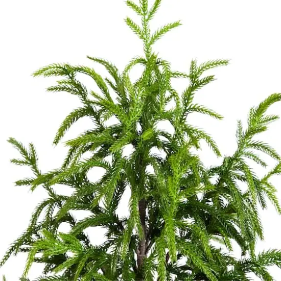 4ft. Unlit Norfolk Pine Artificial Potted Christmas Tree {4}