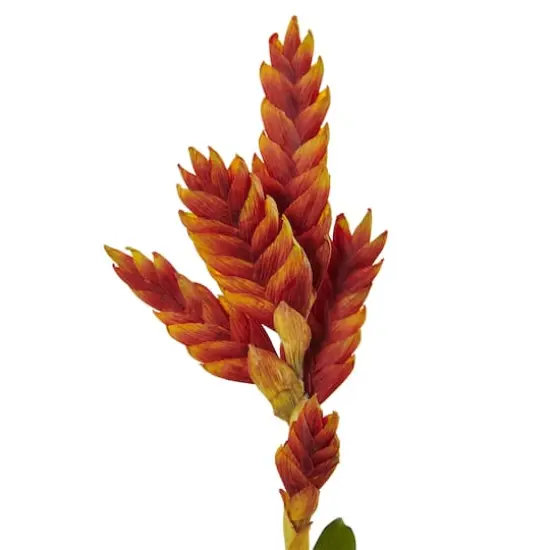 23" Tropical Bromeliad Artificial Flower (Set of 3) {3}