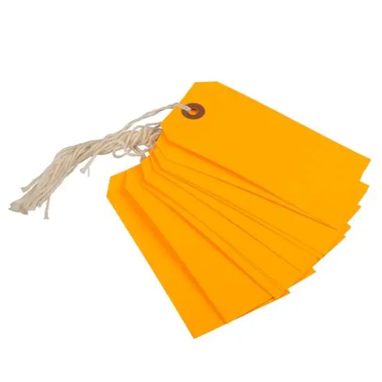 JAM Paper Medium Gift Tags with String Neon Orange {3}