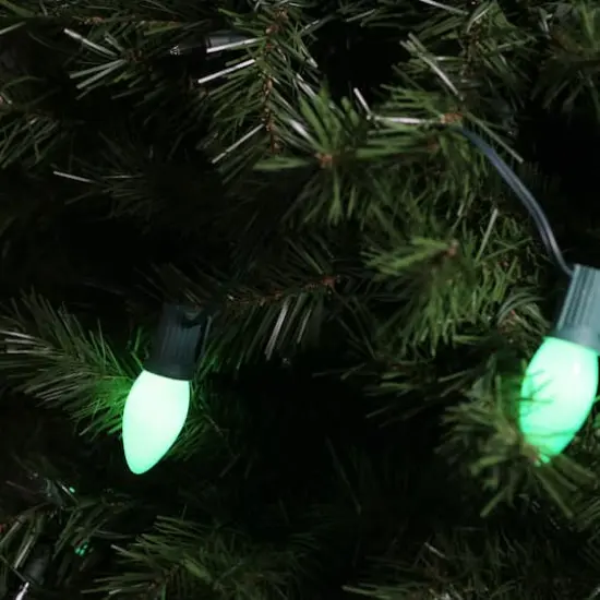 25ct. Opaque Green C9 Incandescent String Lights {3}
