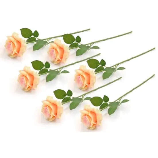 DII&reg; Yellow Flower Open Rose Set, 6ct. {1}