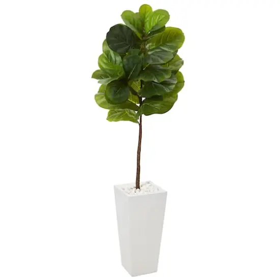 4.7ft. Fiddle Leaf Tree in White Planter {1}