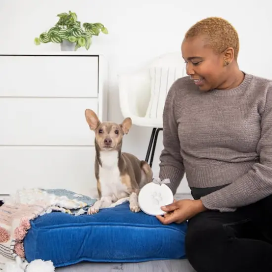 Pearhead Pawprint Keepsake {8}