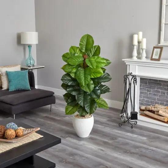 5ft. Large Leaf Philodendron Plant in White Oval Planter {4}