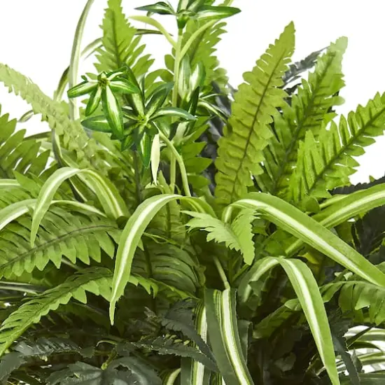 23" Mixed Leaf & Fern Plant in Terra Cotta Planter {3}